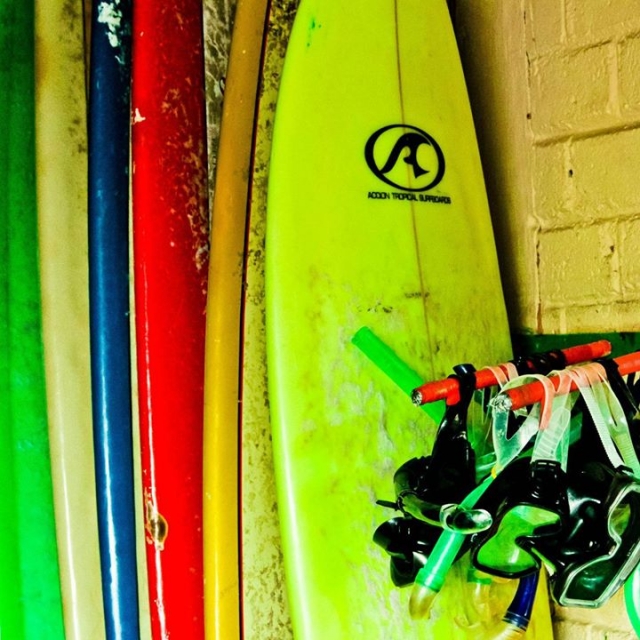 tambien tenemos snorkel